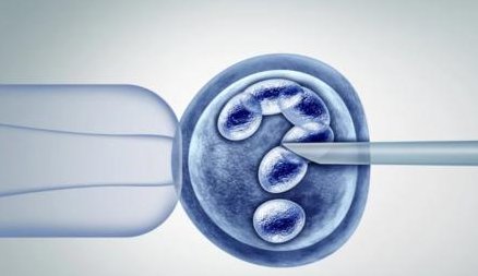 试管移植前一晚失眠严重有成功着床的案例吗？