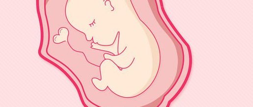 2026酒泉市最新男性陪产假有多少天？试管婴儿可以增加产假吗？