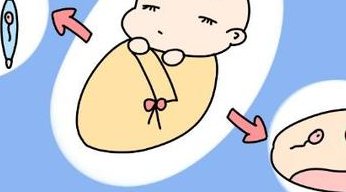 试管移植后吃燕窝有五大好处，一定程度上可促进胚胎着床