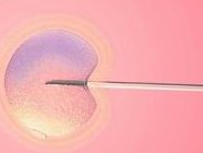 西囡试管一促二移植成功率和双胞胎几率都高？