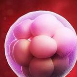 男性试管婴儿取精前除了精液常规还会做其它检查吗？