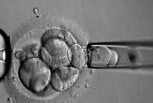 200斤胖多囊的女性想要孩子能做三代试管婴儿吗？