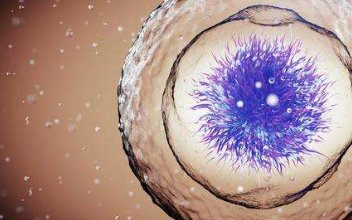 【武汉三代试管】湖北有没有三代试管婴儿？